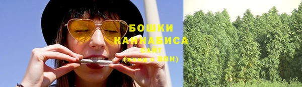 шишки Козловка