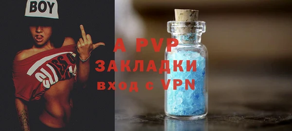 шишки Козловка