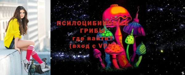 спайс Кодинск