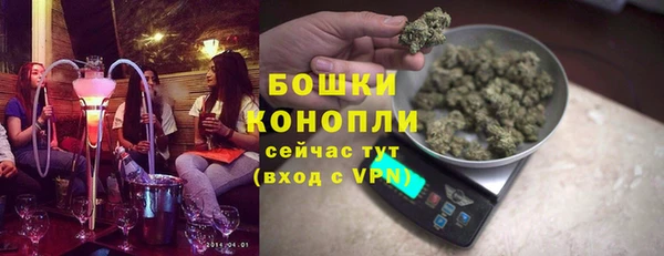 шишки Козловка